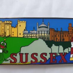 Sussex Mega Day Geocoin