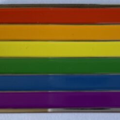 Rainbow Flag Geocoin - Silver RE - Image 2