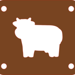 Cow Geocoin Display