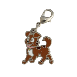 Tracker Nano Geocoin/Zipper pull/Charm with clasp - Image 2