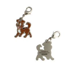 Tracker Nano Geocoin/Zipper pull/Charm with clasp