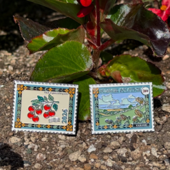 2026 Summer Solstice Geocoin - Image 4