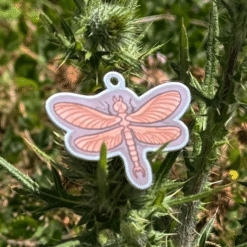 EarthCache Fossil Travel Tag - Meganisoptera - Image 2