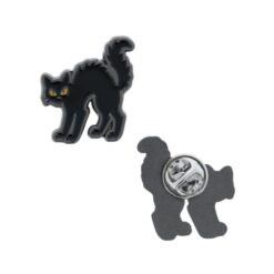 Salem Through the Centuries - Geoswag Coin & Pin Club October 2026 - Image 5